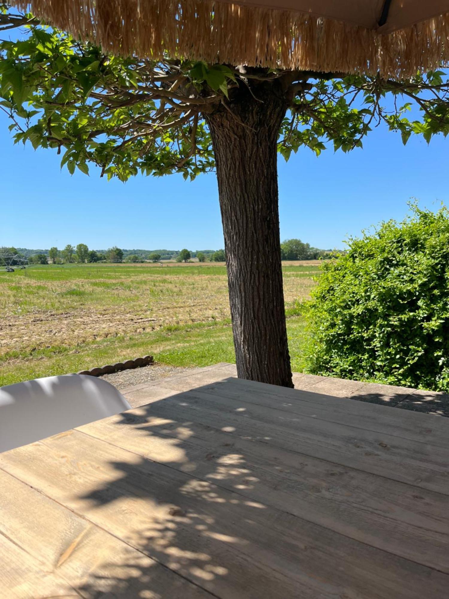 Gite 1, Domaine Logis Gascogne Saint-Justin  Buitenkant foto